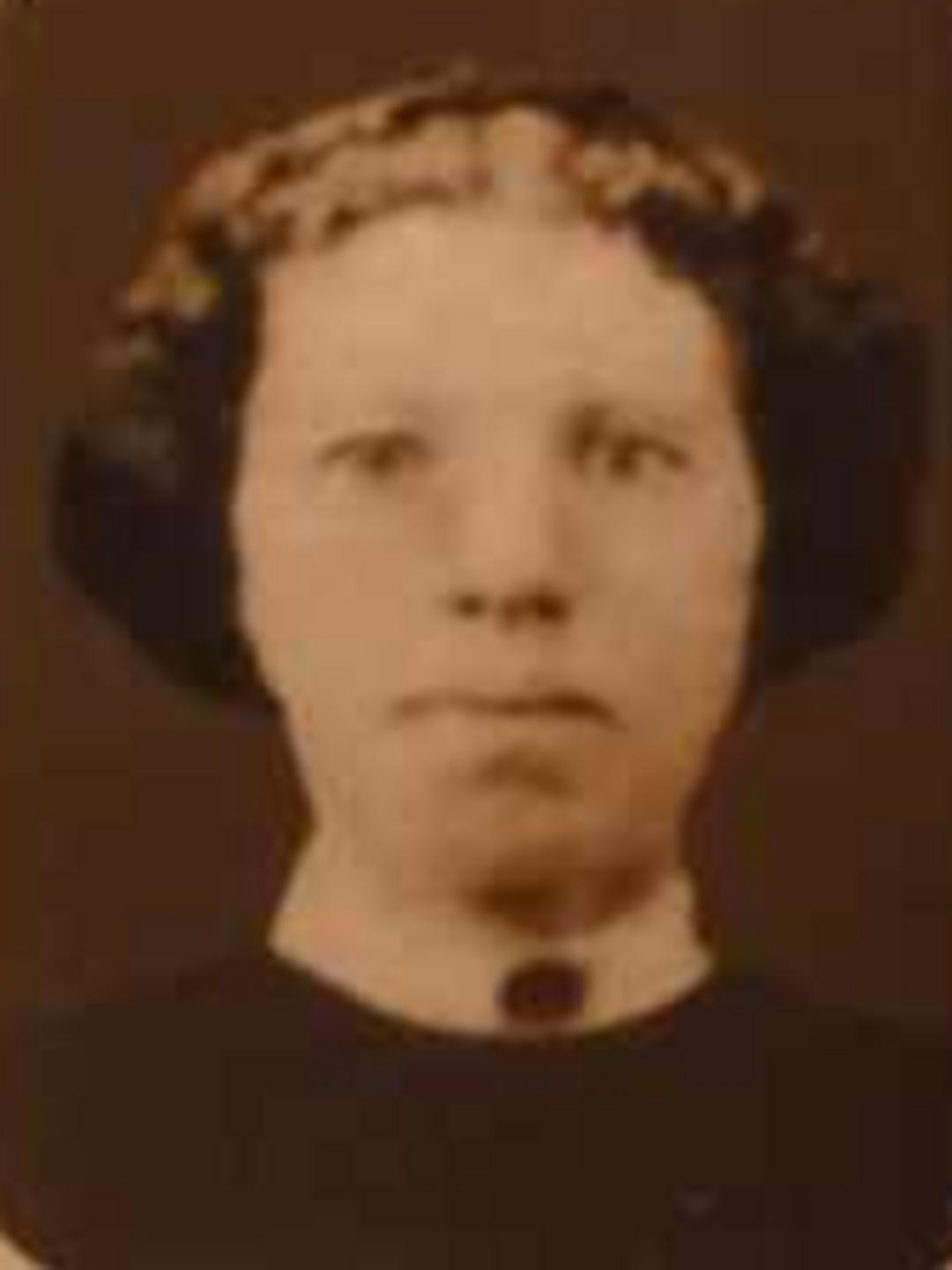 Sarepta Jane Cole (1846 - 1882) Profile